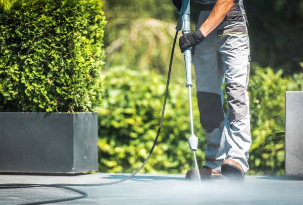 Best House Exterior Washing  in Robert Lee, TX