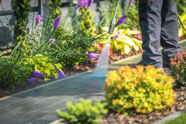 Best Winterizing Services  in Robert Lee, TX